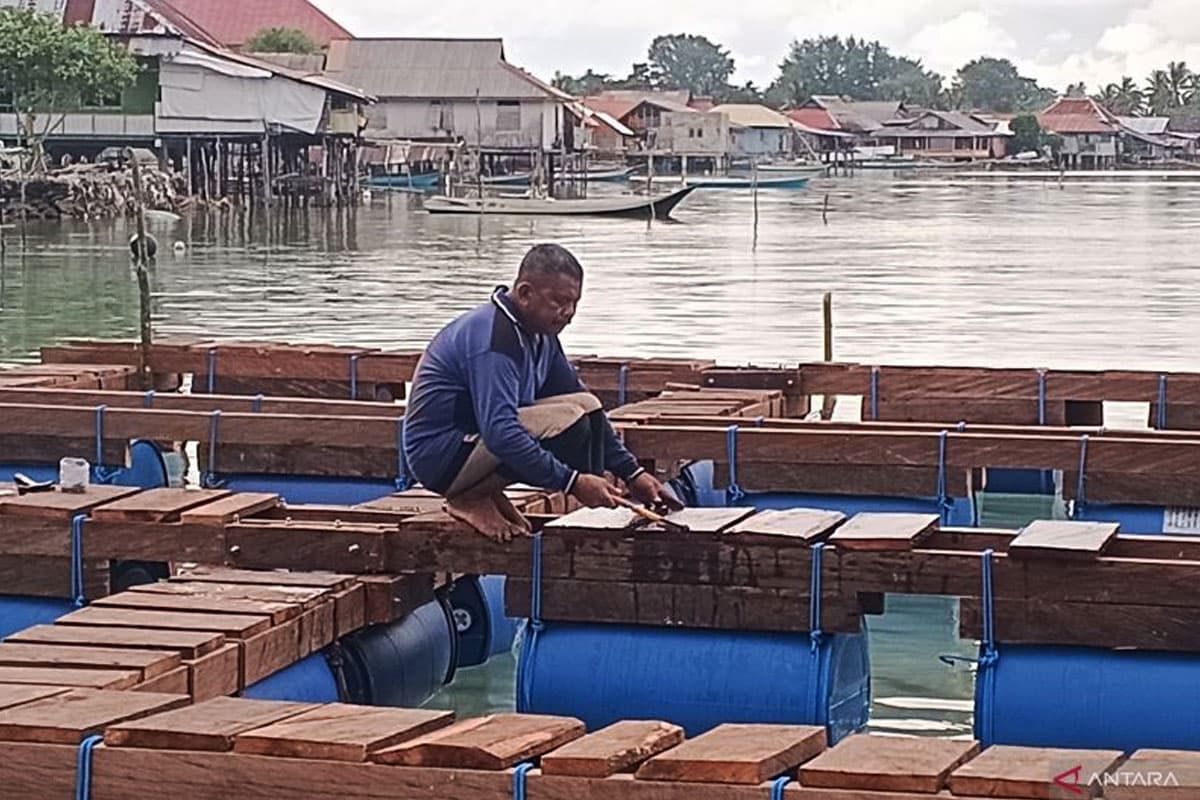 Dorong Ekonomi Pesisir, IPB Kembangkan Sea Farming Berbasis Adat di Wakatobi